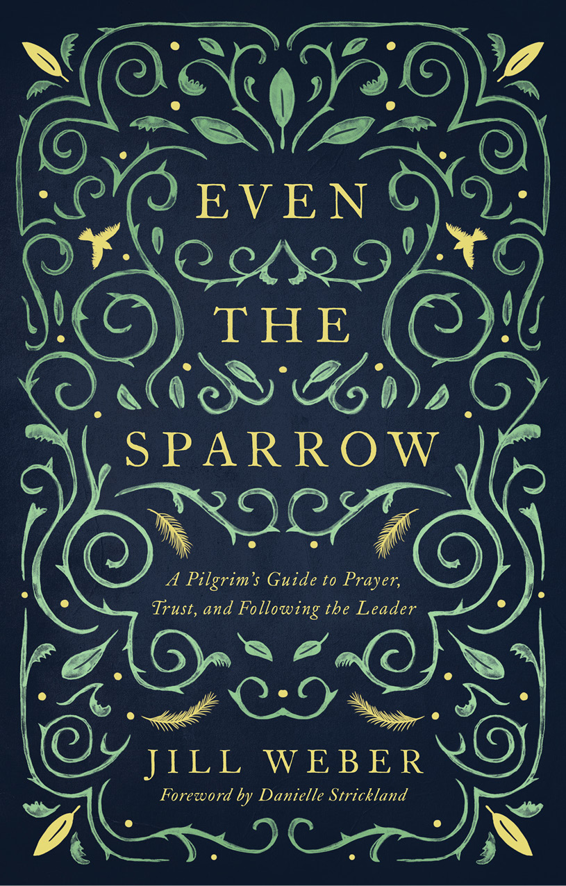 Even the Sparrow Cover